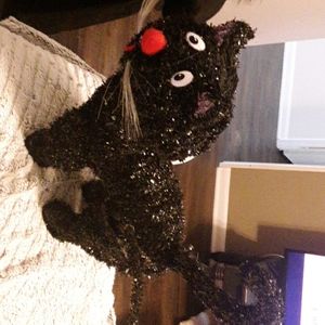 Fiber optic motion cat